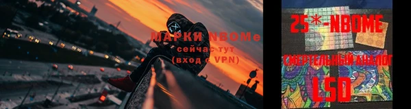 спиды Зеленокумск