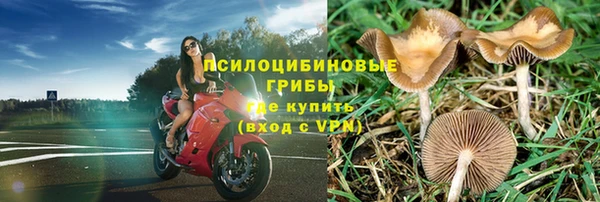 спиды Зеленокумск