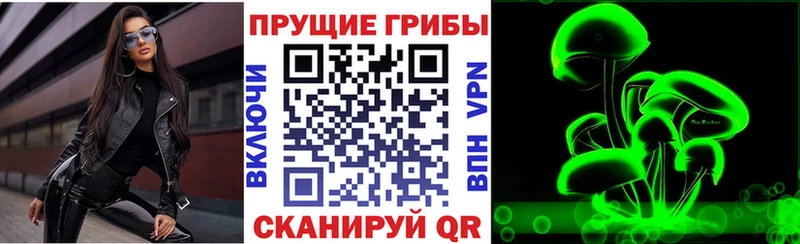 Купить где  Кадников  Псилоцибиновые грибы Magic Shrooms 