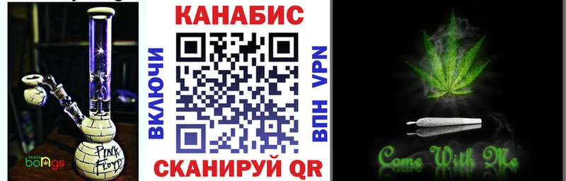 Конопля семена Купить Кадников